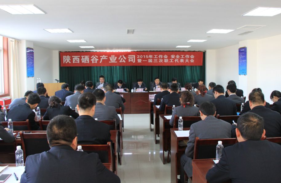 陕西硒谷产业公司召开2015年工作会 安全工作会暨一届三次职工代表大会