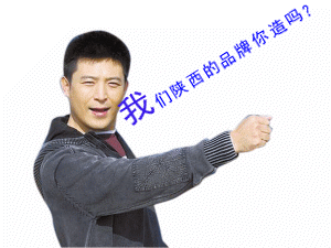 今天，还有多少“陕西品牌”？