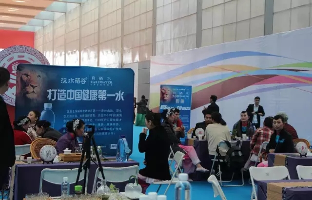 汉水硒谷•真硒水作为唯一指定用水亮相第十一届中国艺术节