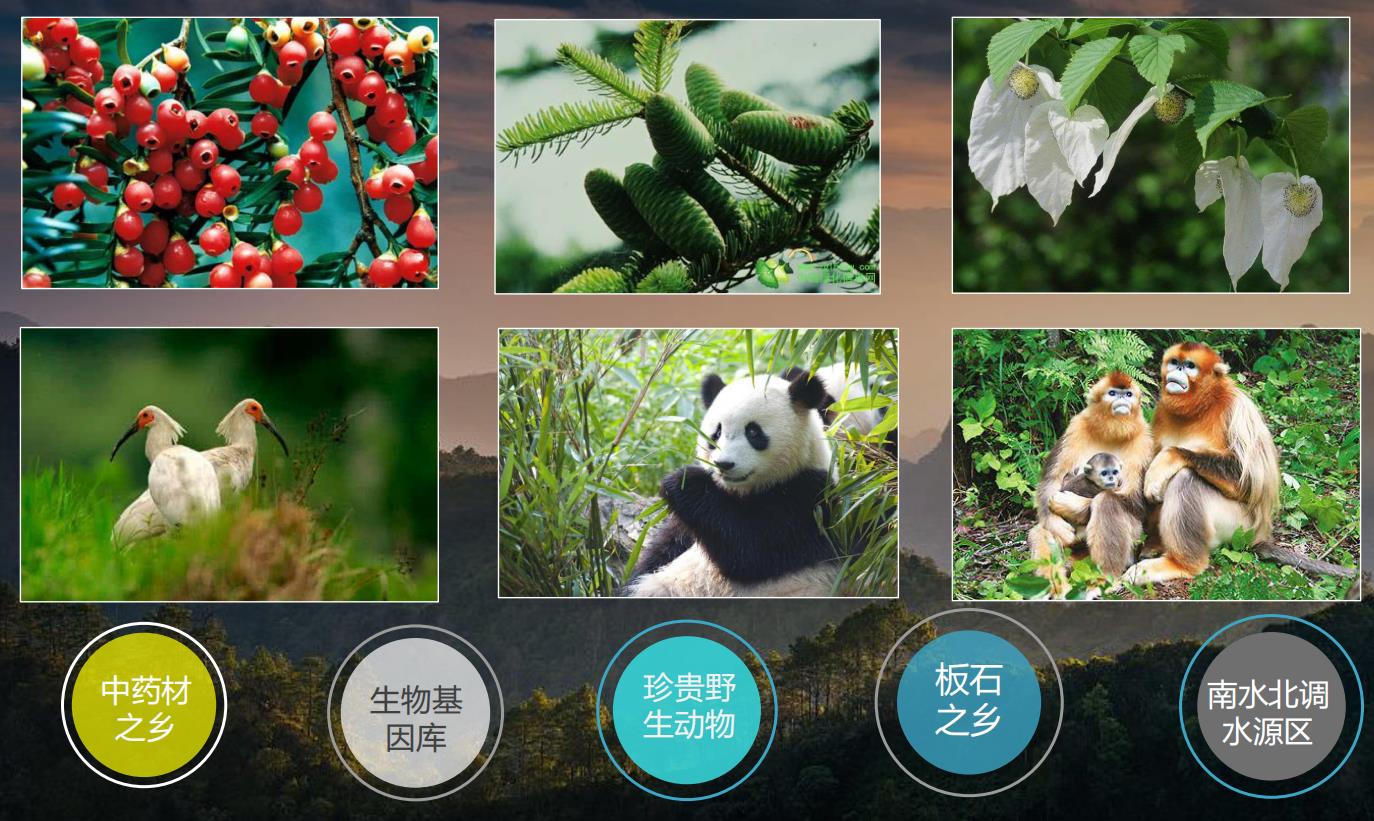 汉水硒谷·真硒水经销商探秘7500年珍惜级水源圣地