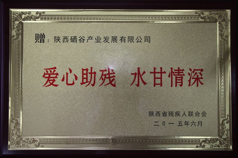 汉水硒谷•真硒水捐助陕西体育代表团仪式举行
