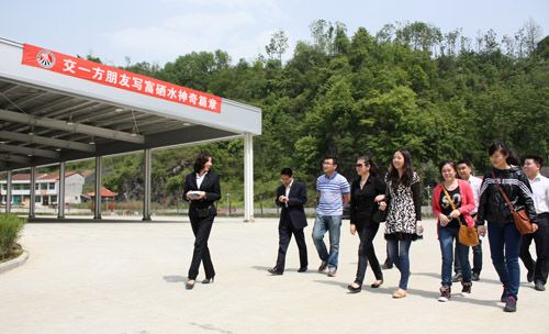 陕南投资开发公司举办青年联谊会